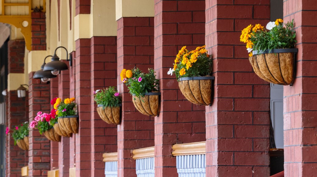 Flower baskets hanging on the wall, pillars of a building in a small town, Western Australia