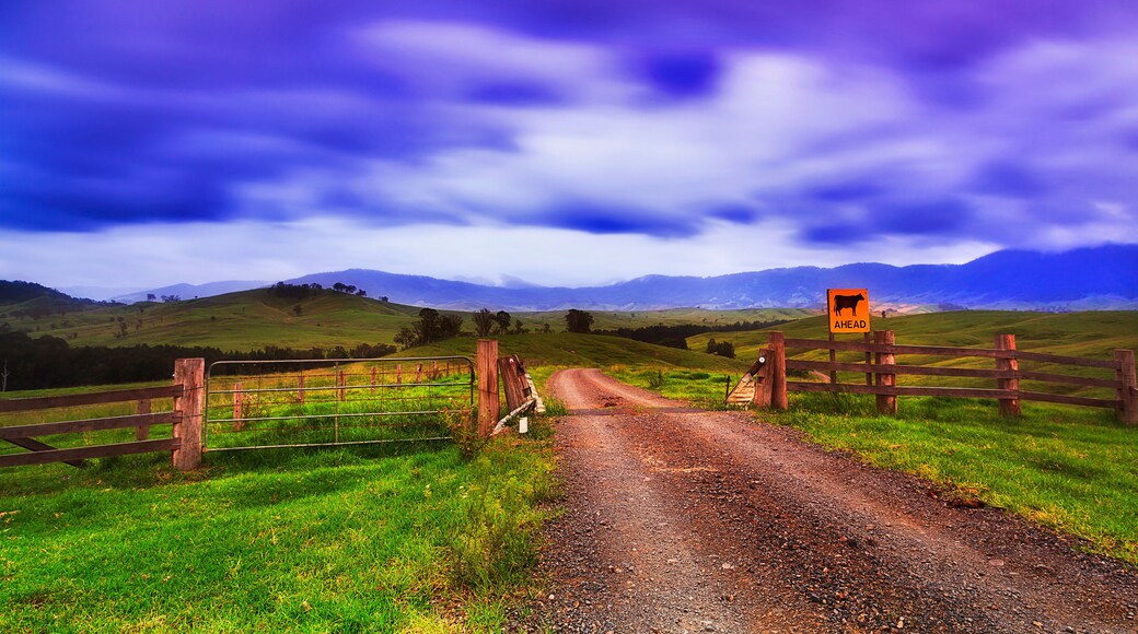 BTops gloucester Rd Gate Cattle sign