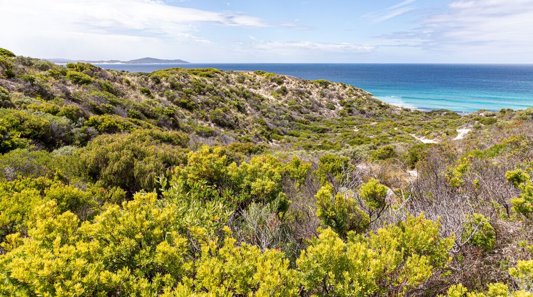 Shelly Beach viewed from the hill above from the southern shore of the Nornalup Inlet in the Walpole-Nornalup National Park, Shire of Denmark, Great Southern region of Western Australia, WA,