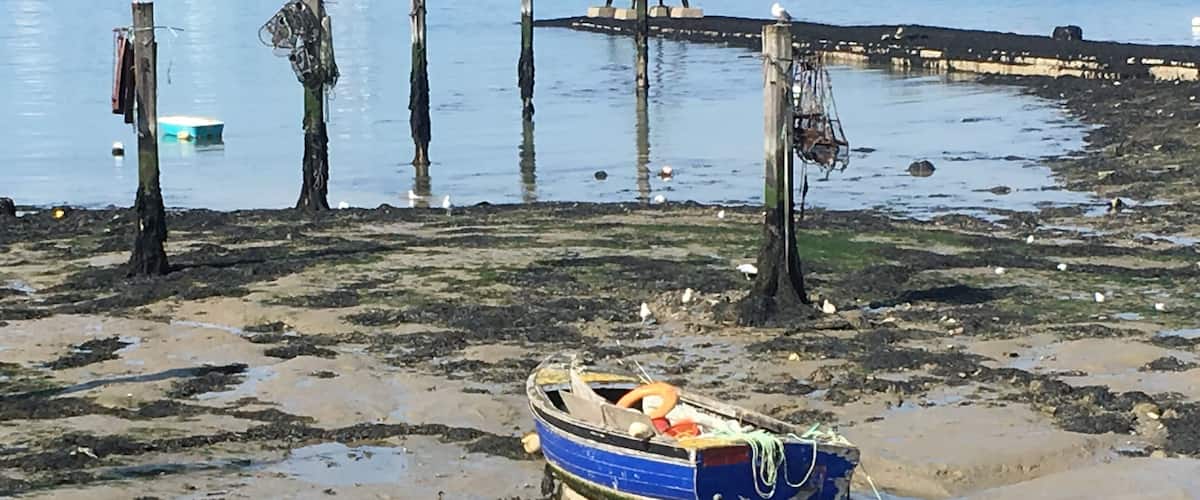 Beautiful sunny day looking across Portsmouth Harbour at low tide 💖