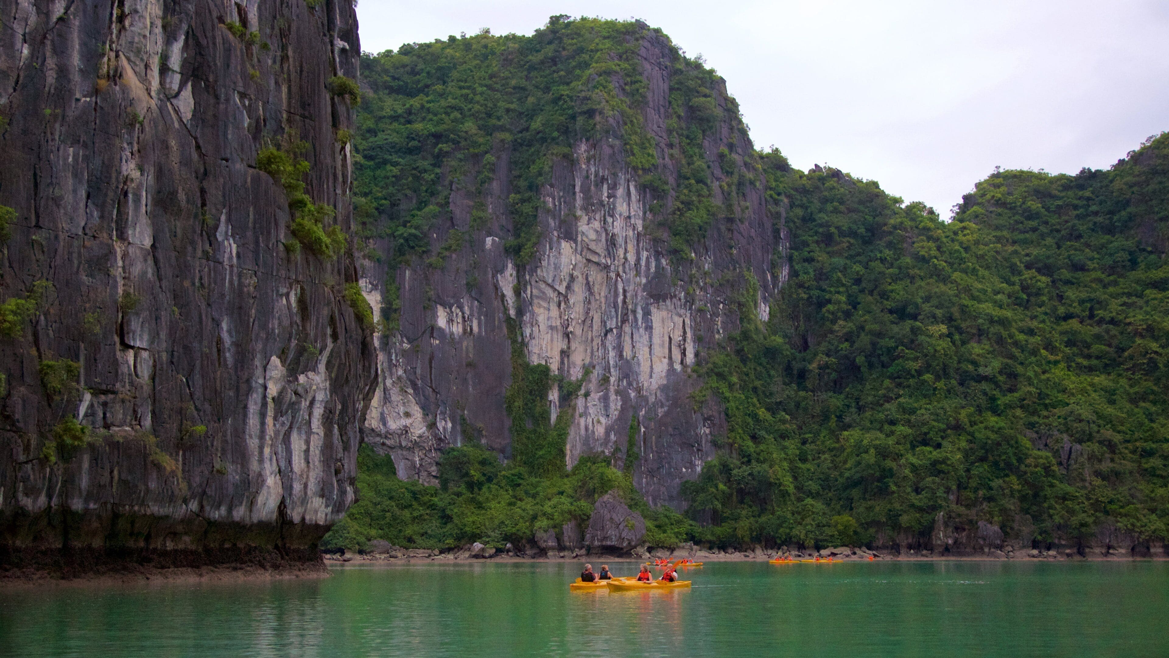 Bahía de Ha Long mostrando kayak o canoa y imágenes de una isla