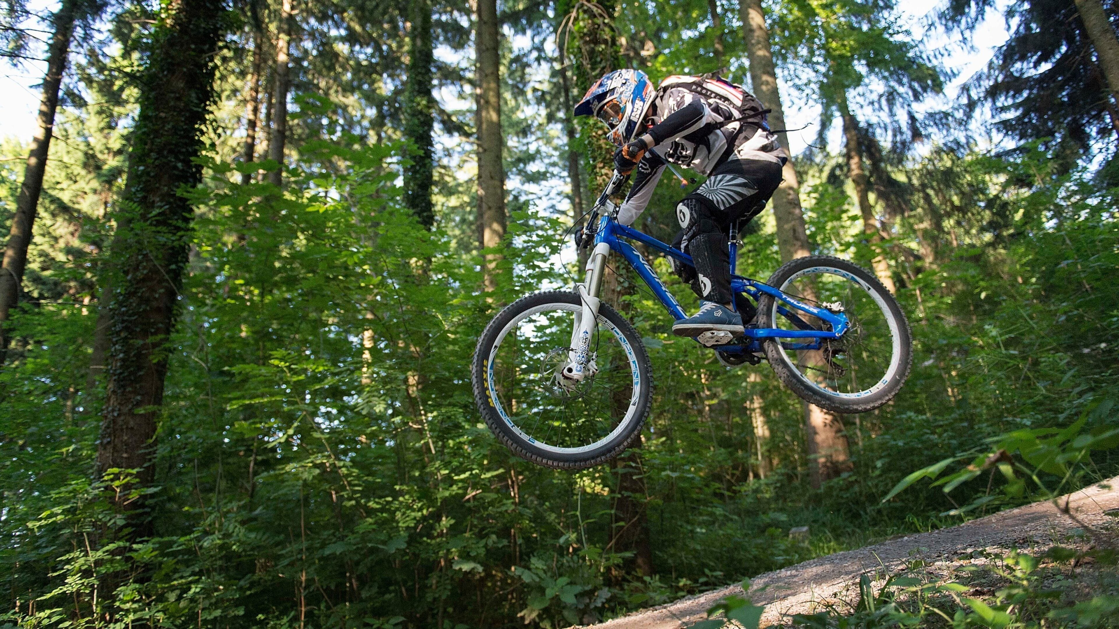 Uetliberg which includes mountain biking and forest scenes