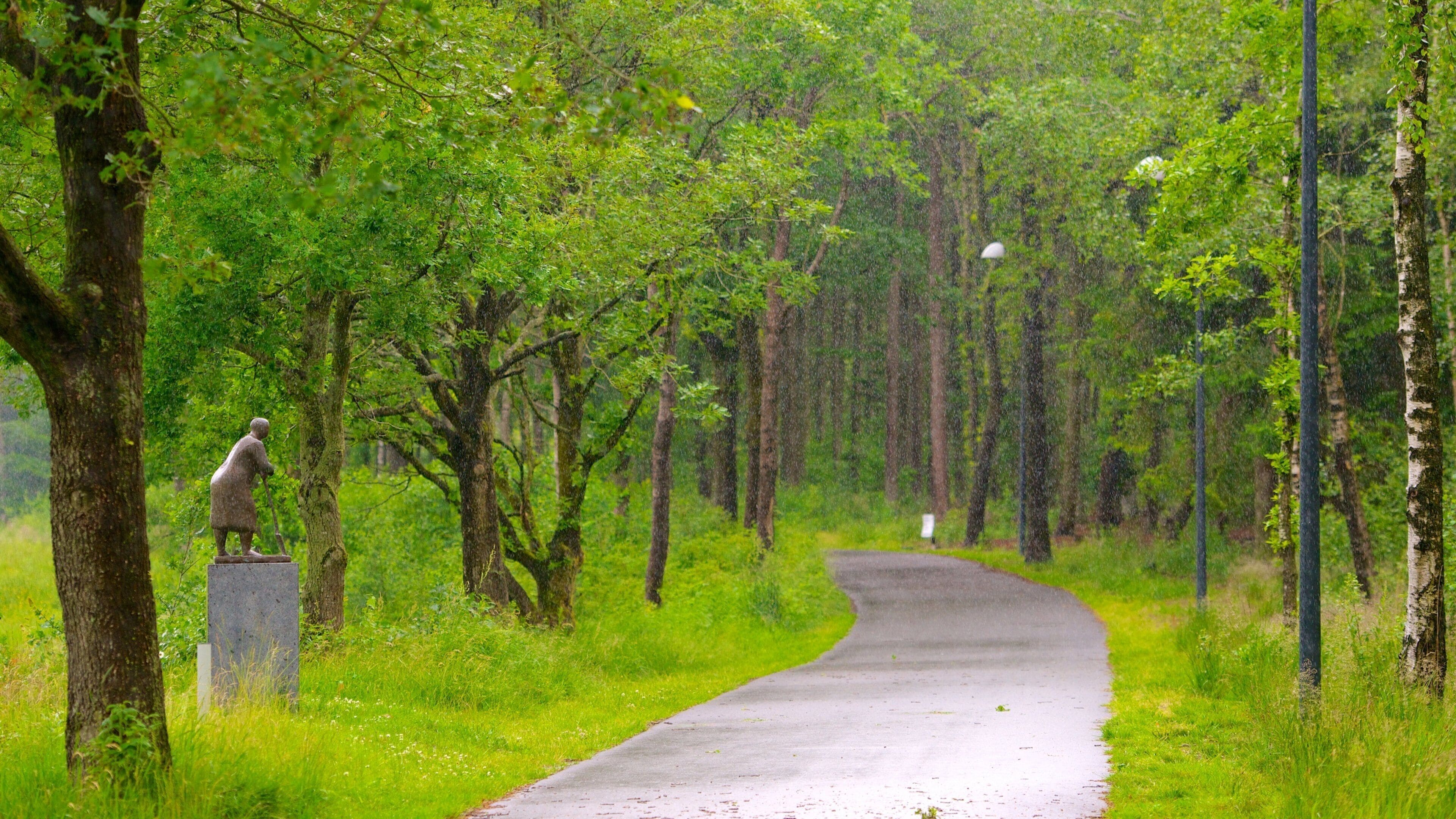Danemark montrant forêts, art en plein air et jardin
