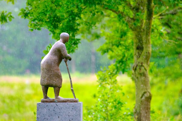 Danimarca che include arte urbana e parco