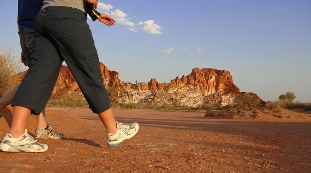 Alice Springs showing desert views and hiking or walking