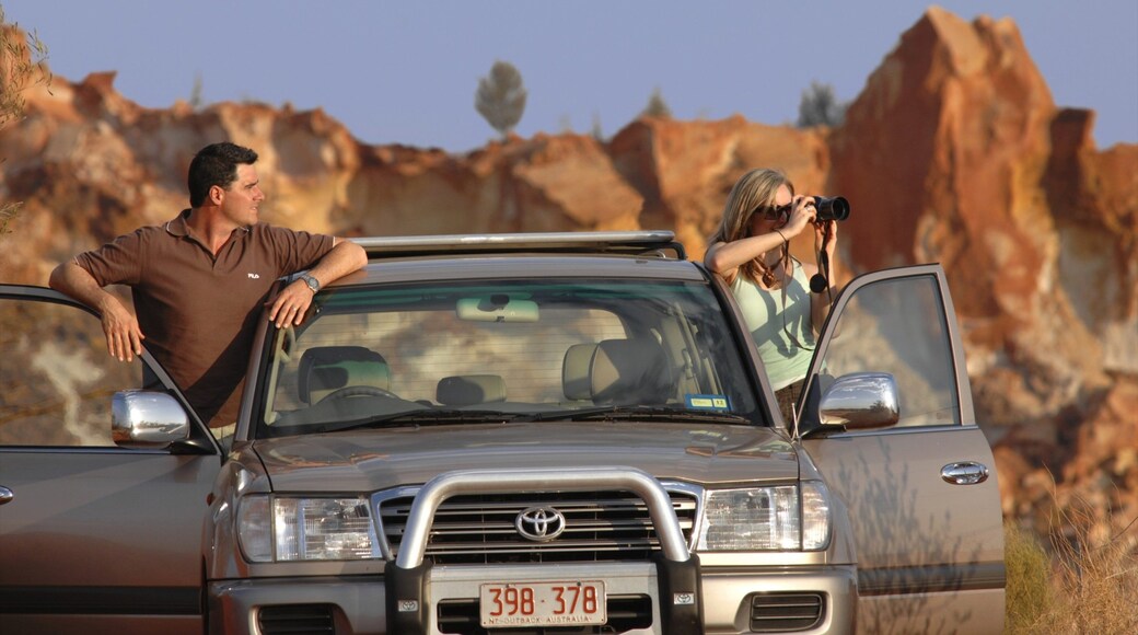Alice Springs som inkluderer ørkenutsikt og omvisning i bil i tillegg til par