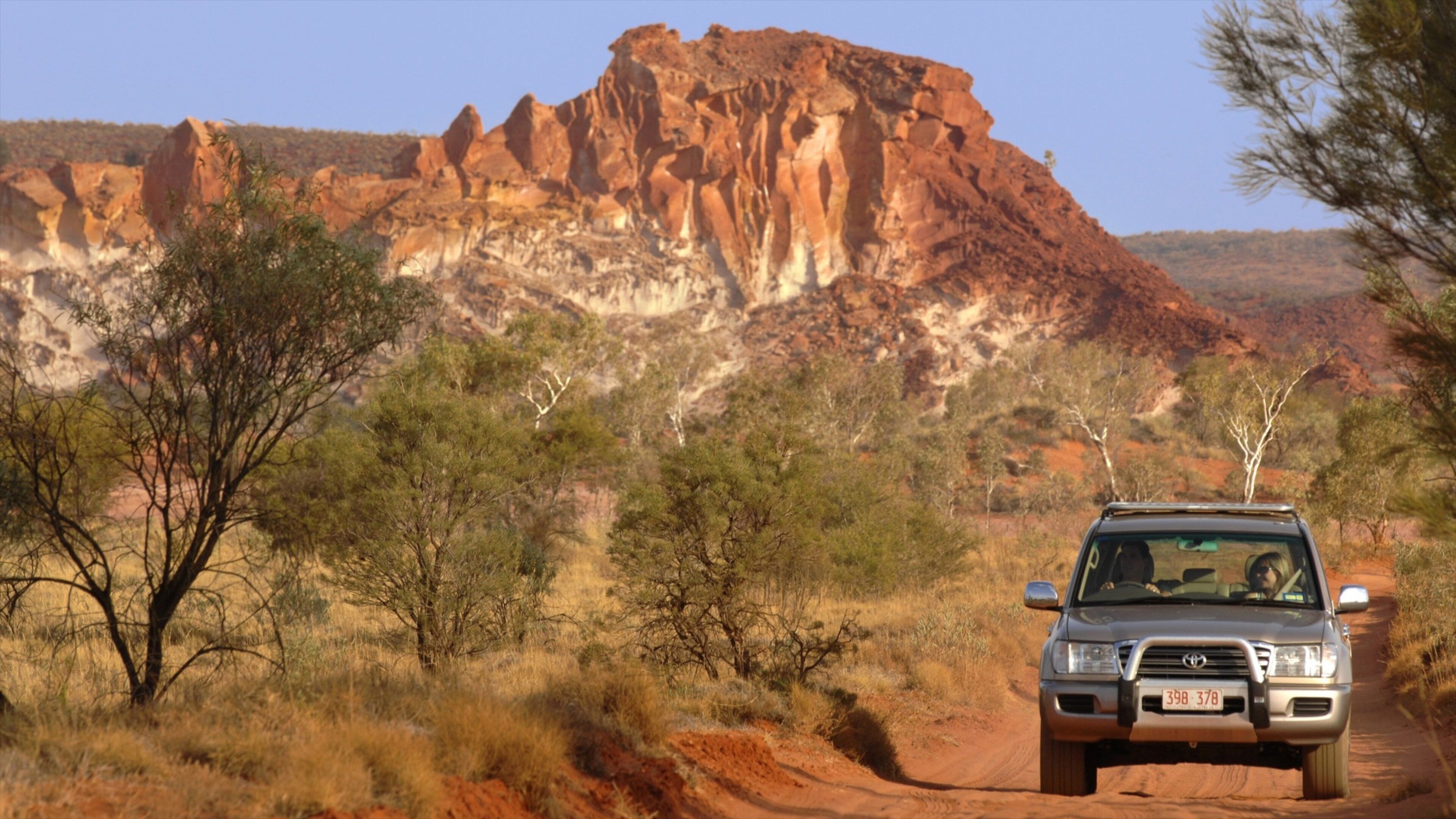Red Centre featuring desert views, vehicle touring and a gorge or canyon