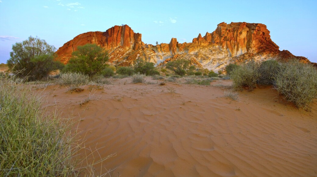 Rainbow Valley Conservation Reserve which includes a gorge or canyon and desert views
