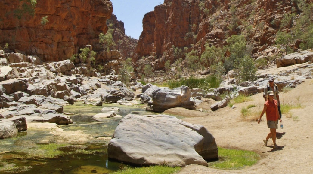 Alice Springs showing hiking or walking and a gorge or canyon as well as a couple