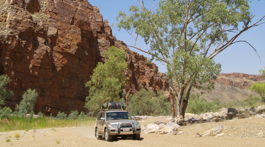 Alice Springs which includes landscape views and touring