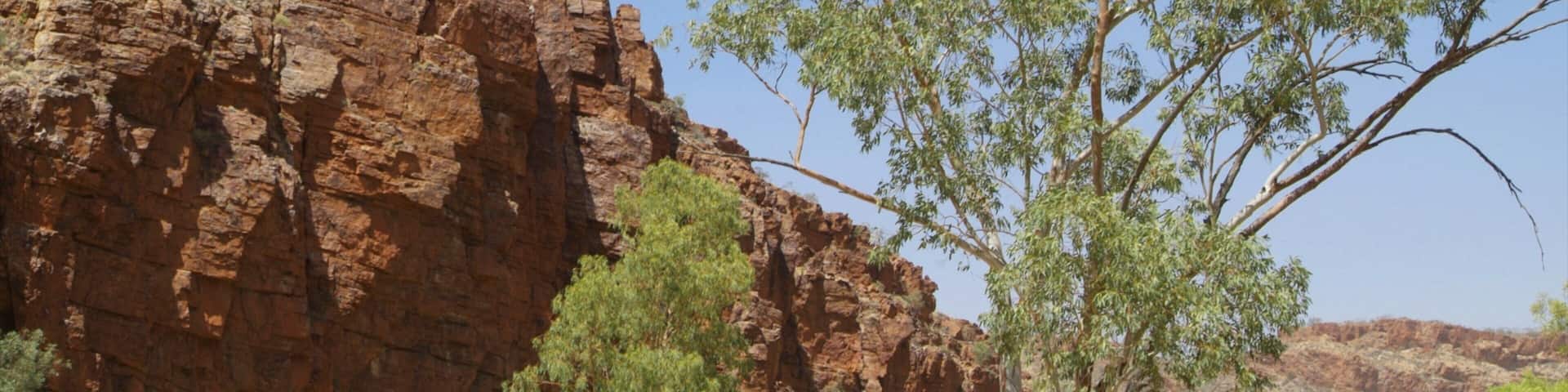 Alice Springs which includes landscape views and touring