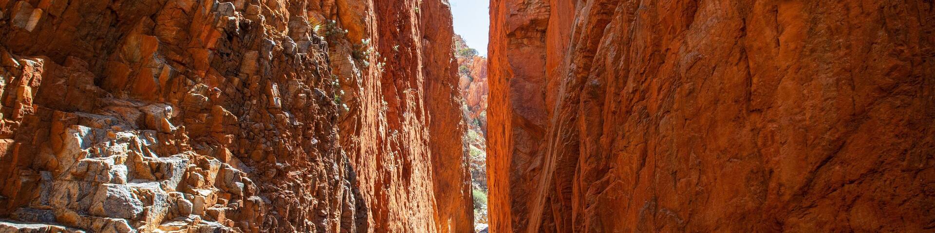 Standley Chasm which includes a gorge or canyon
