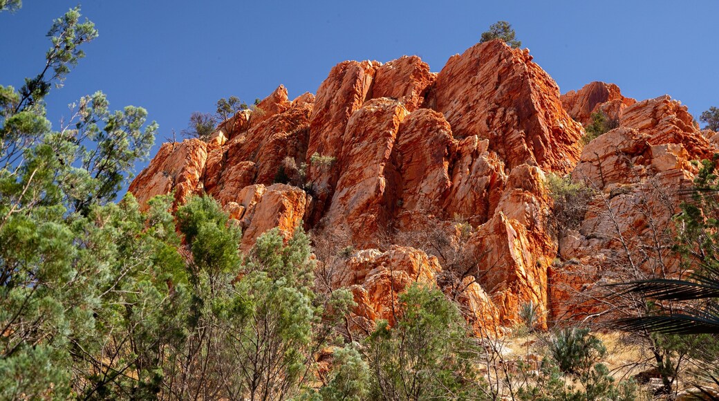 Standley Chasm featuring a gorge or canyon