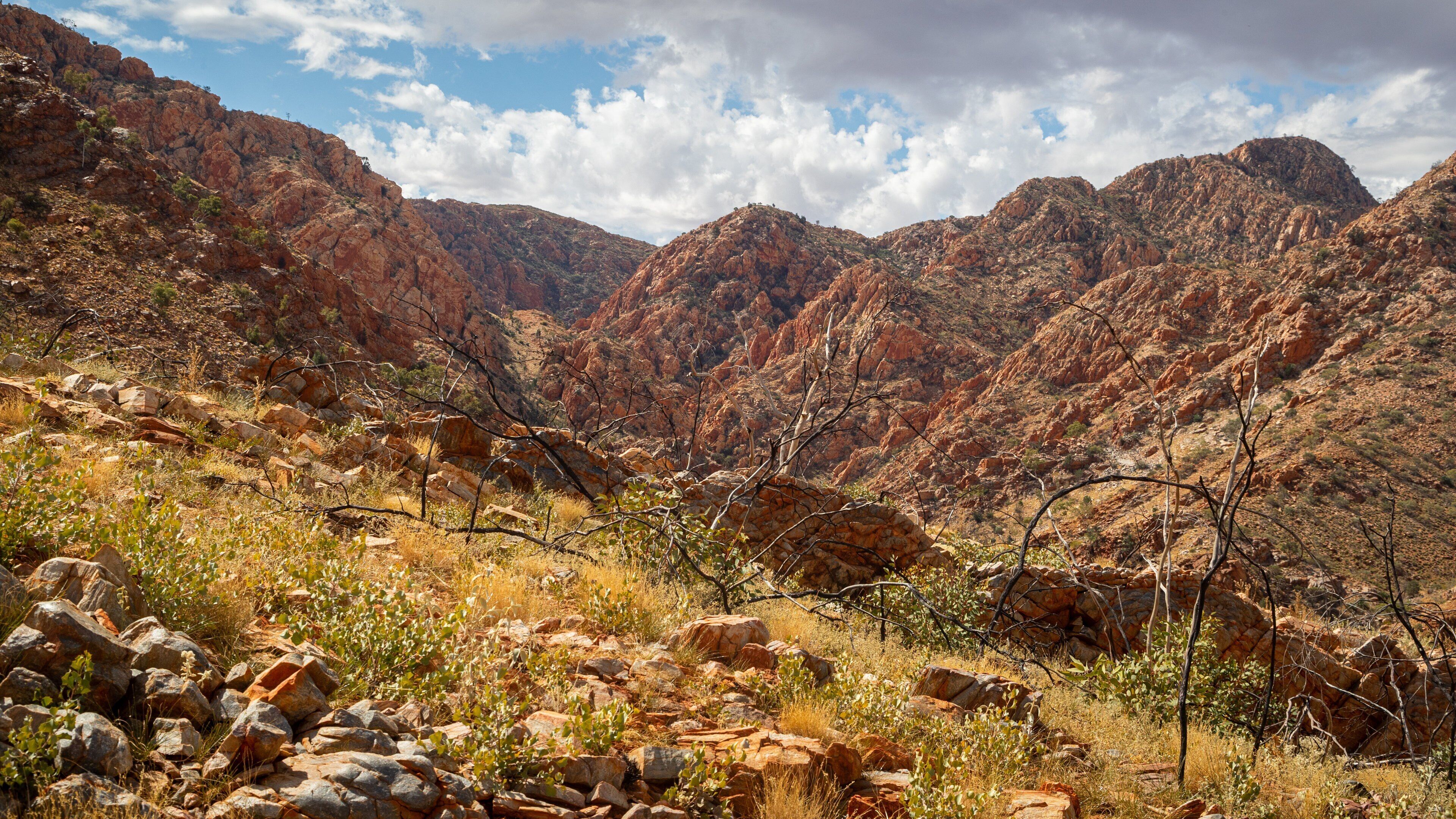 Standley Chasm showing a gorge or canyon and landscape views