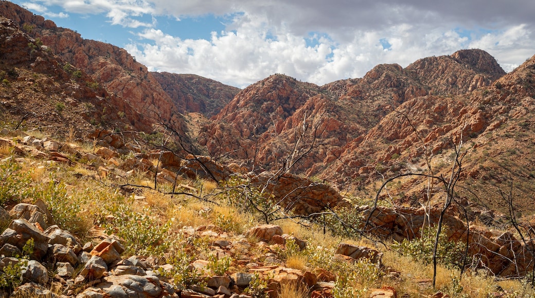Standley Chasm showing a gorge or canyon and landscape views
