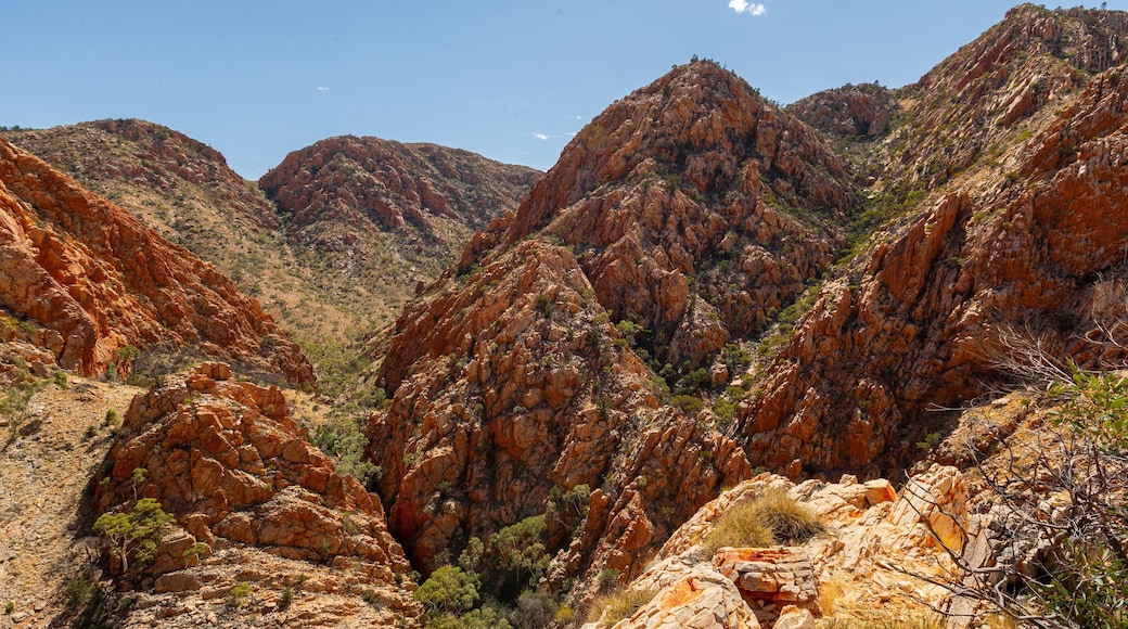 Standley Chasm featuring desert views and a gorge or canyon