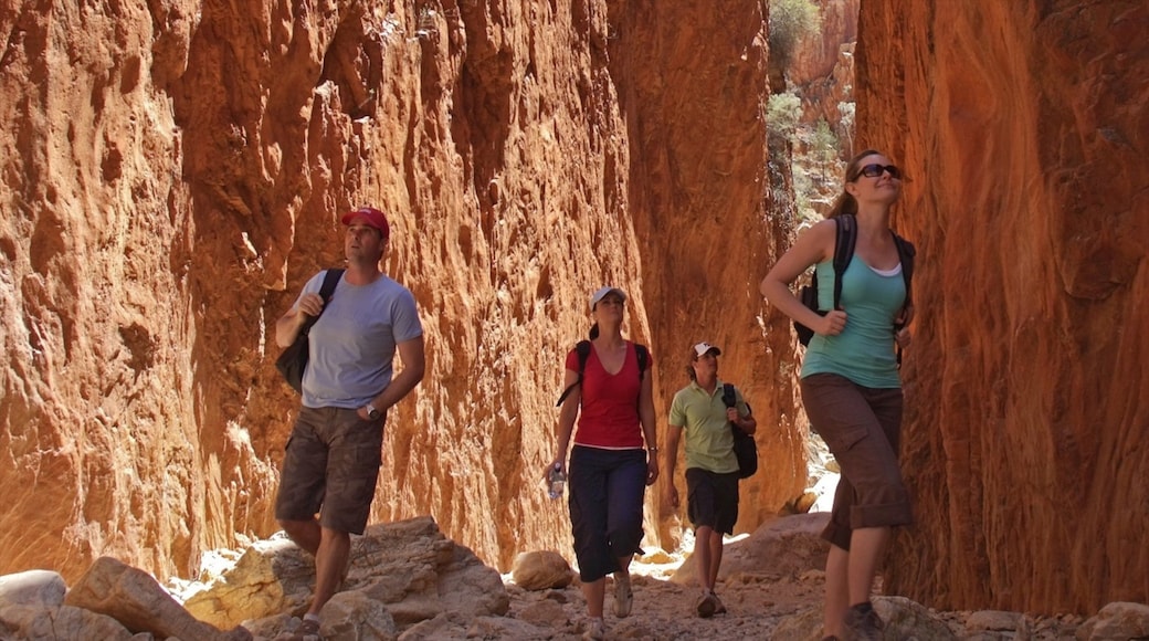 Standley Chasm featuring patikointi tai kÀvely ja rotko tai kanjoni sekÀ pieni ryhmÀ ihmisiÀ