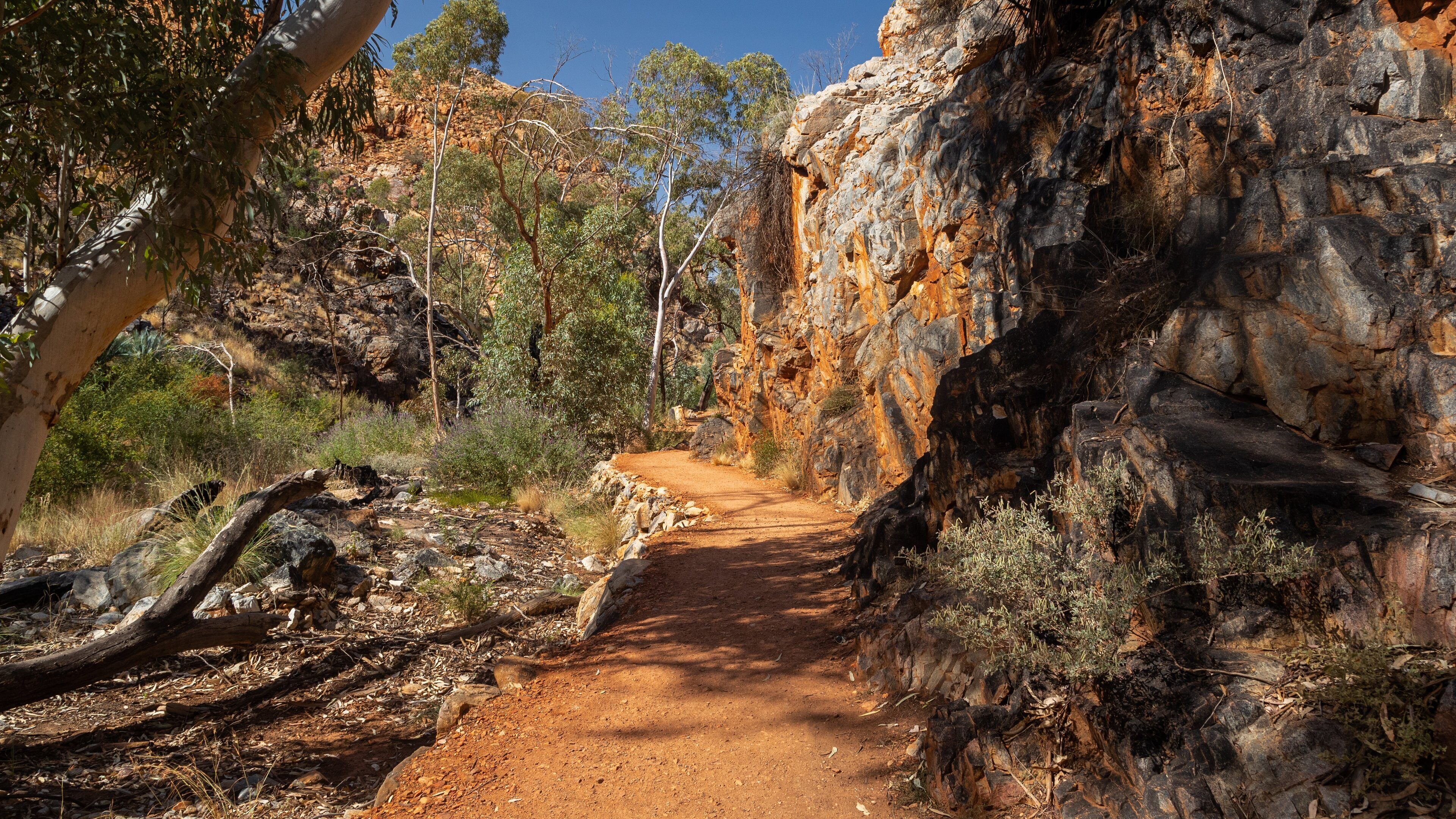 Standley Chasm showing a gorge or canyon and desert views