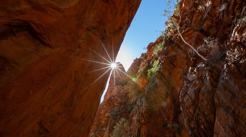 Standley Chasm which includes a gorge or canyon