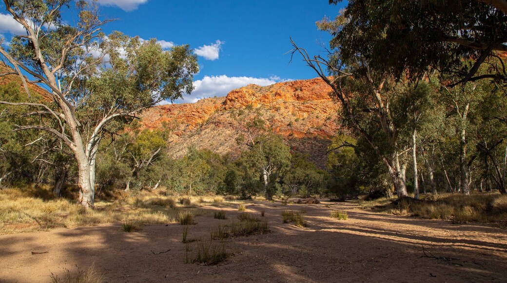 Trephina Gorge National Park featuring desert views