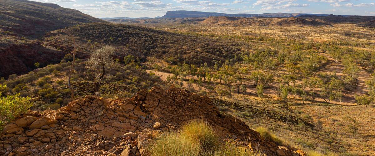 Trephina Gorge National Park featuring desert views and landscape views