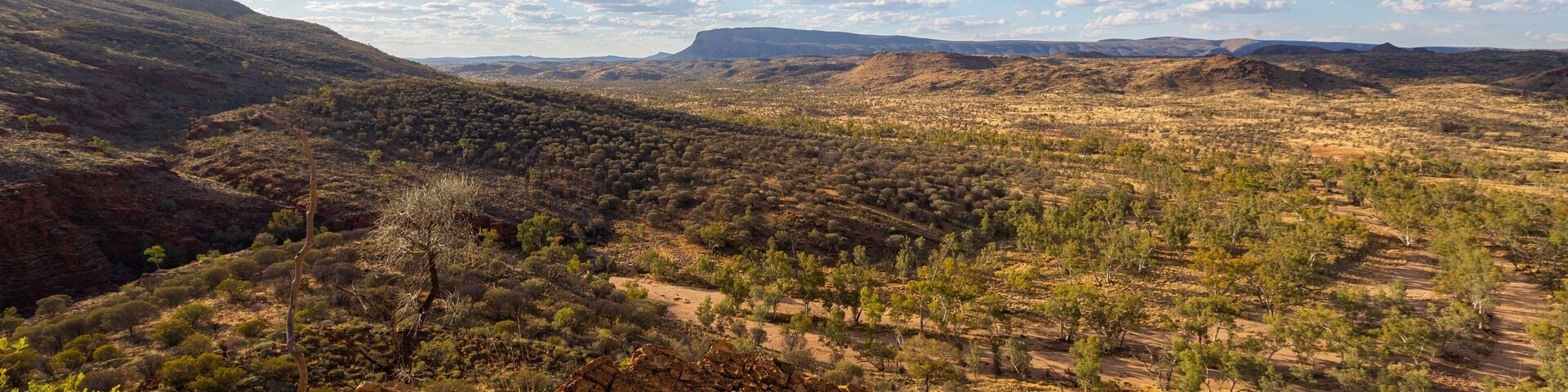 Trephina Gorge National Park featuring desert views and landscape views