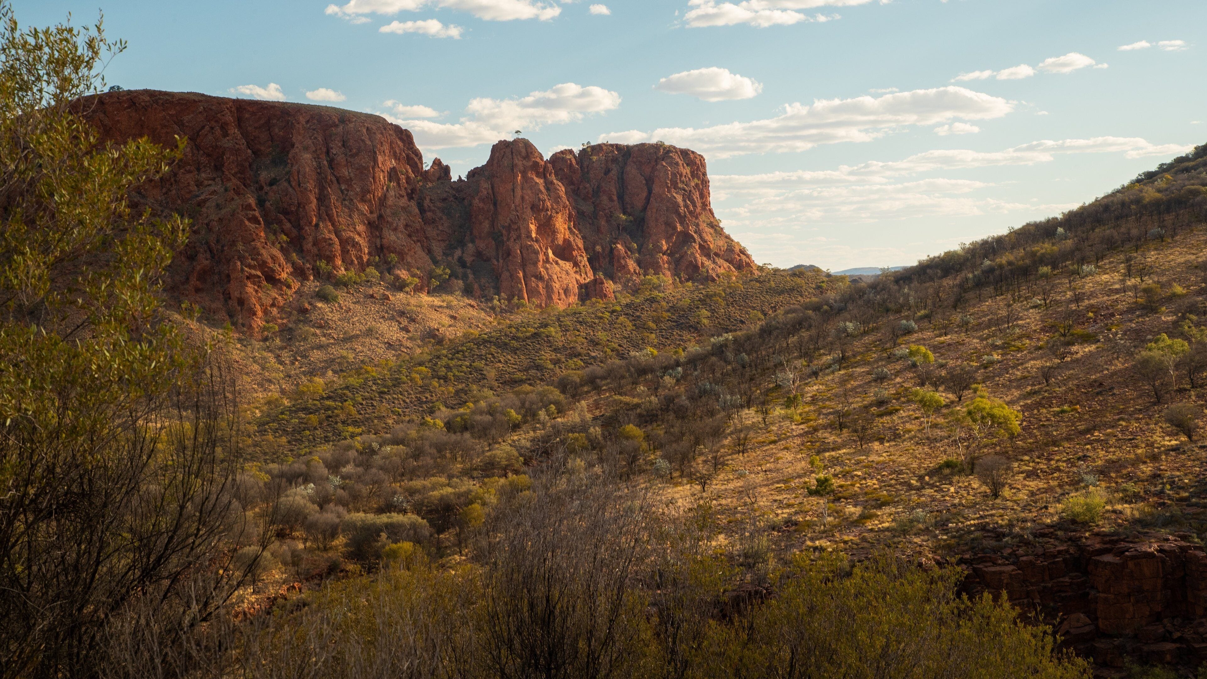 Trephina Gorge National Park showing desert views, a gorge or canyon and landscape views