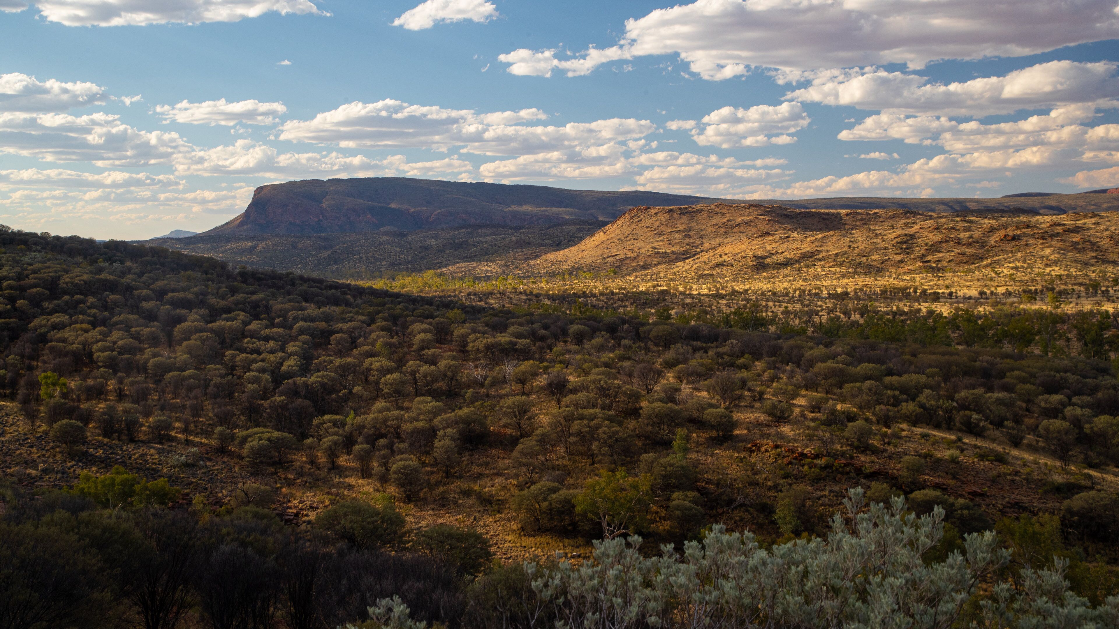 Trephina Gorge National Park which includes tranquil scenes, desert views and landscape views