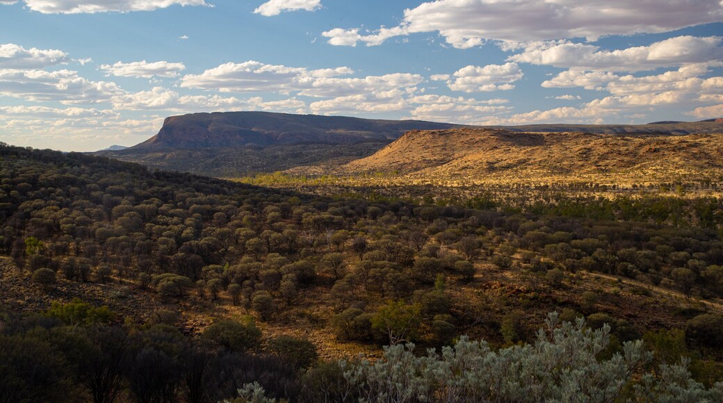 Trephina Gorge National Park which includes tranquil scenes, desert views and landscape views