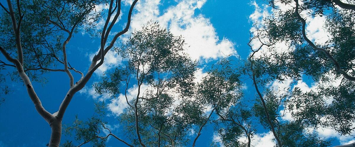 Trephina Gorge National Park