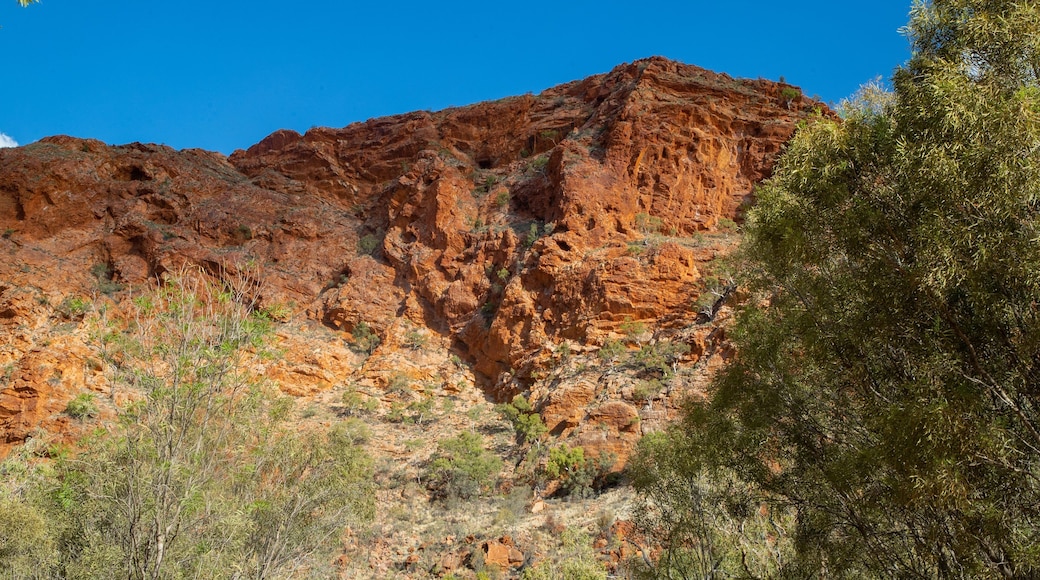 Trephina Gorge National Park showing a gorge or canyon