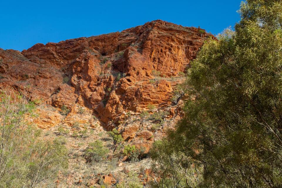 A rugged red rock formation with sparse vegetation.