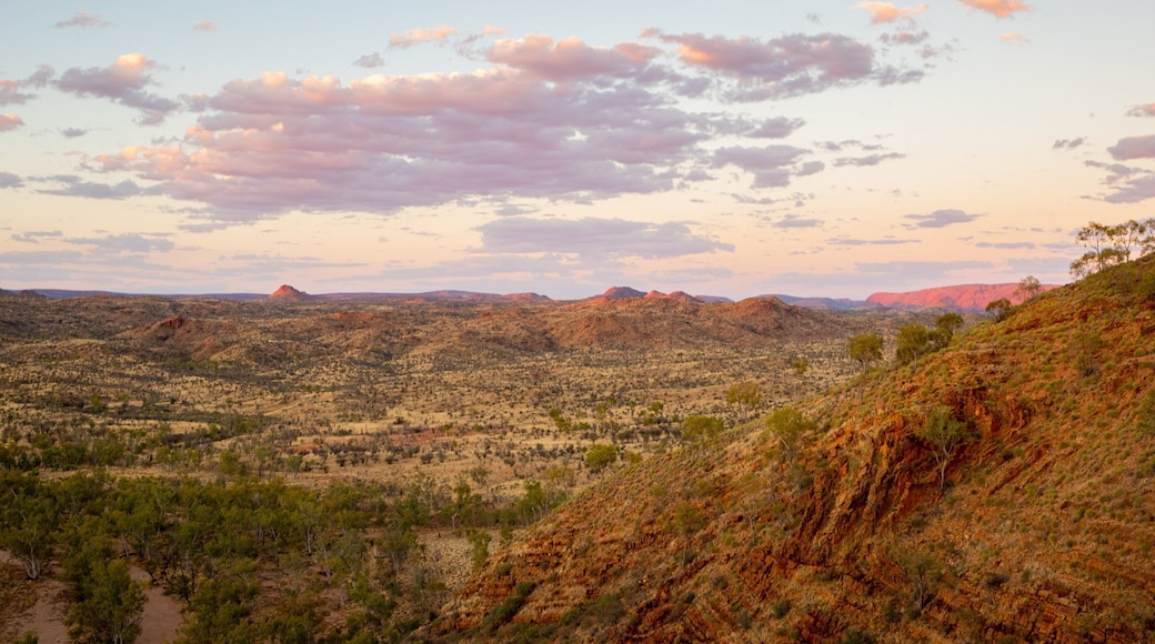 Trephina Gorge National Park featuring a gorge or canyon, desert views and landscape views