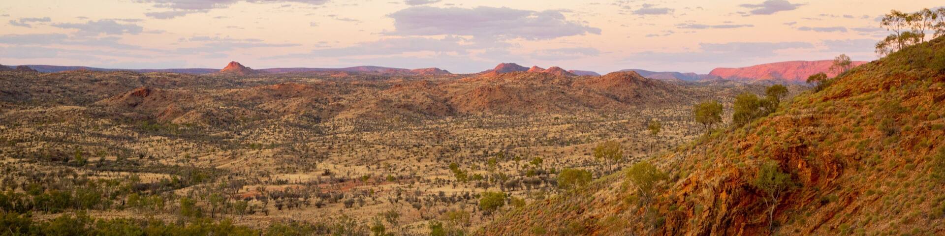 Trephina Gorge National Park featuring a gorge or canyon, desert views and landscape views