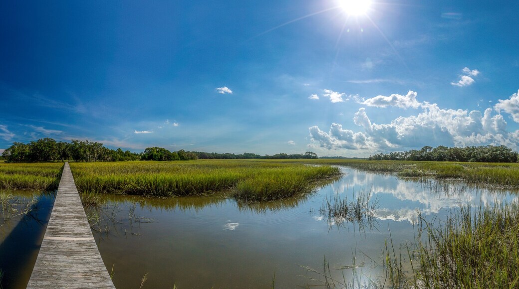 Wadmalaw Island, South Carolina, USA