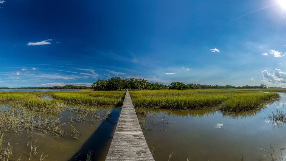 A wooden boardwalk through a marshy landscape with a clear sky and distant trees.