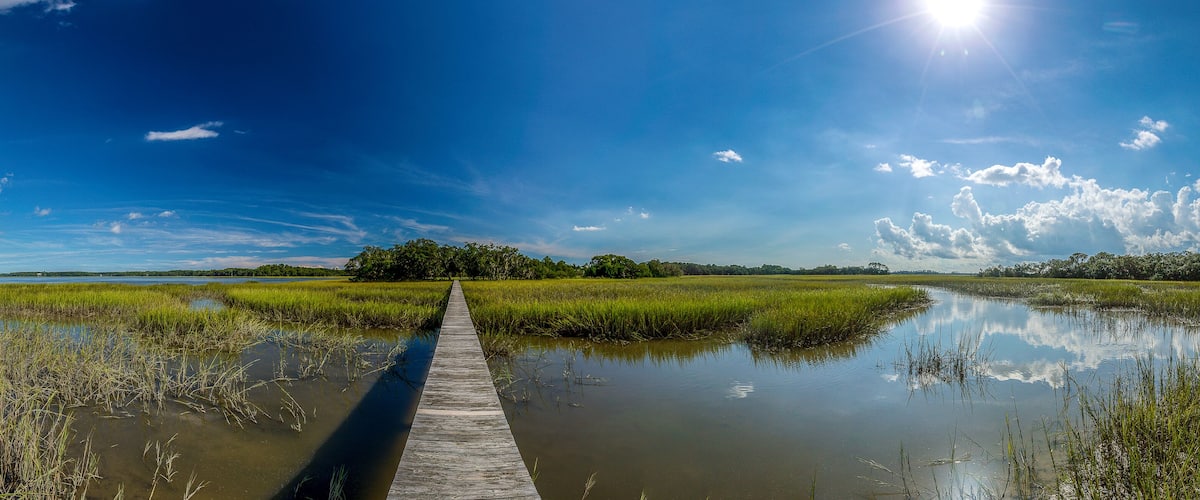 A wooden boardwalk through a marshy landscape with a clear sky and distant trees.
