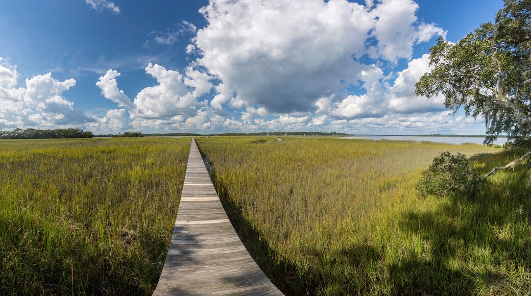 Wadmalaw Island, South Carolina, USA