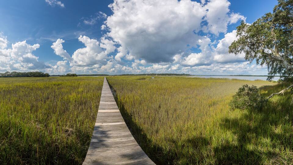 A boardwalk through a marshy landscape with a clear sky and distant trees.