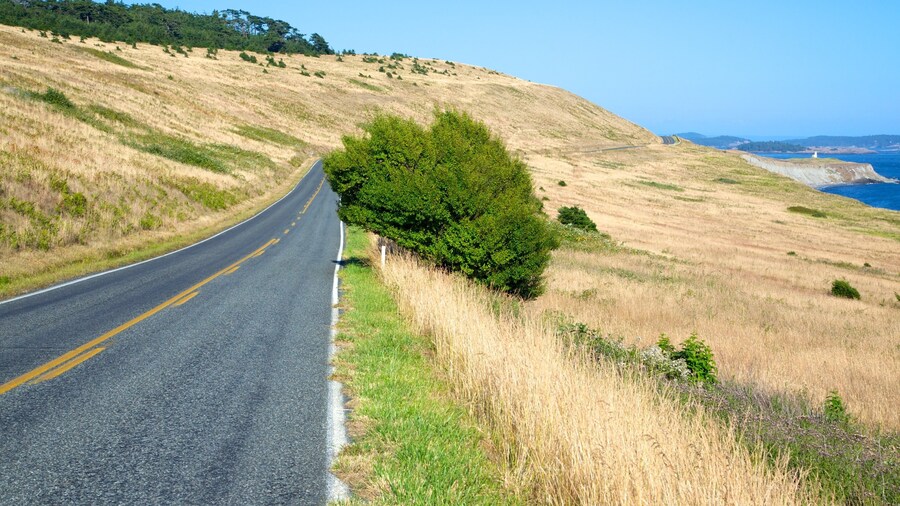 San Juan Island which includes general coastal views and tranquil scenes