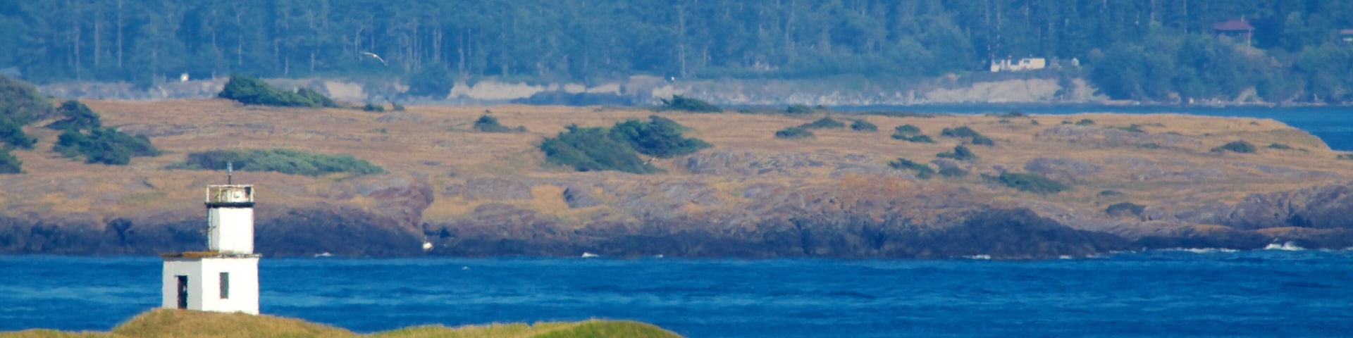 San Juan Island featuring island images, landscape views and a lighthouse
