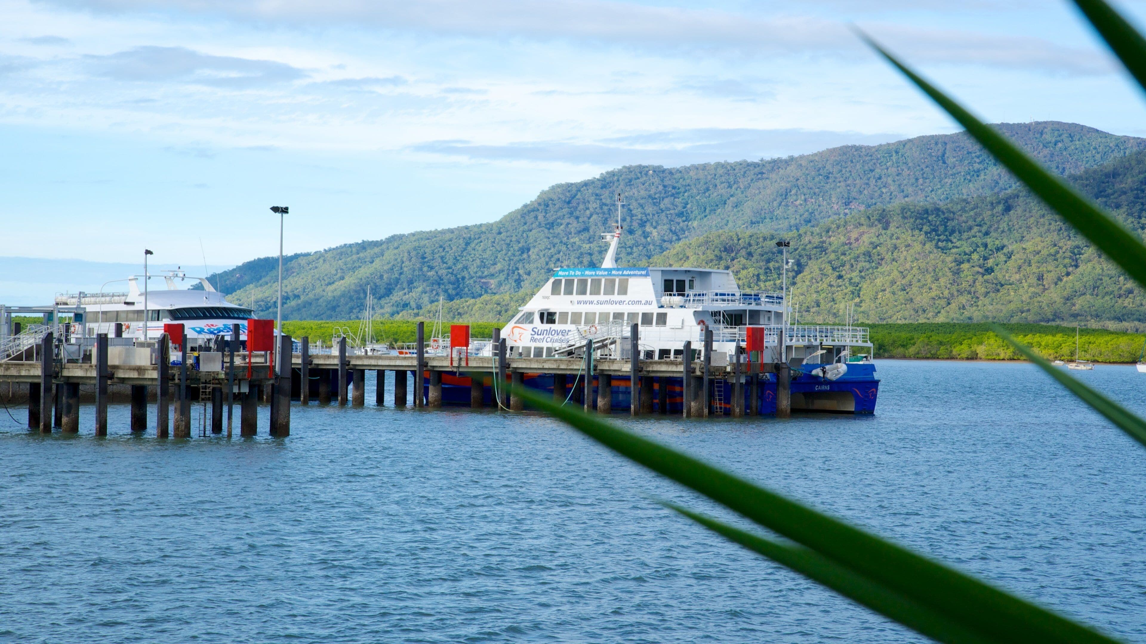 Cairns Marlin Marina which includes general coastal views, a bay or harbor and cruising