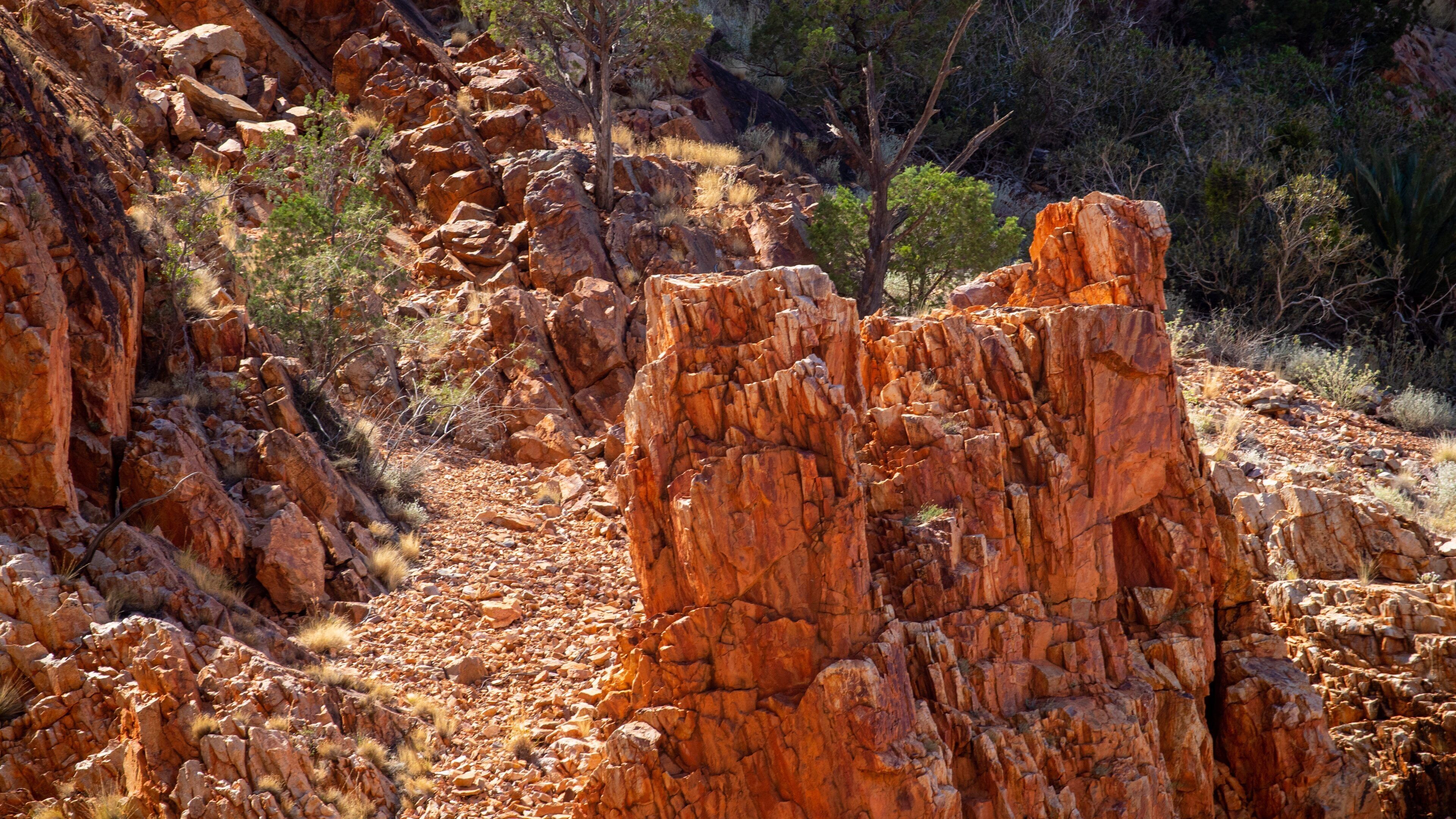 Simpsons Gap featuring a gorge or canyon
