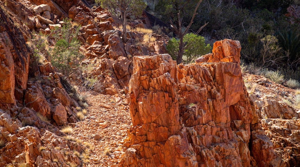 Simpsons Gap featuring a gorge or canyon