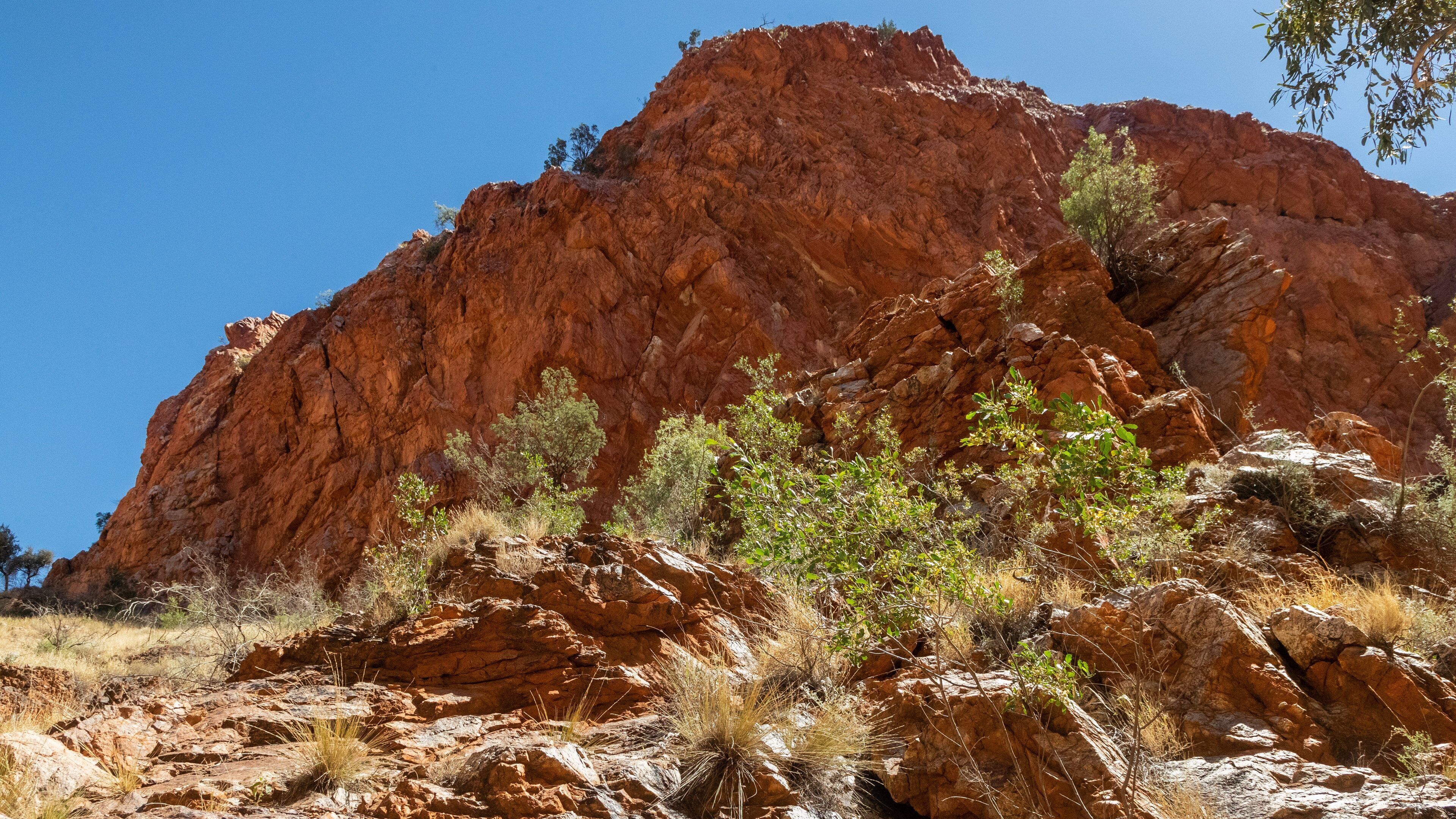 Simpsons Gap showing desert views and a gorge or canyon