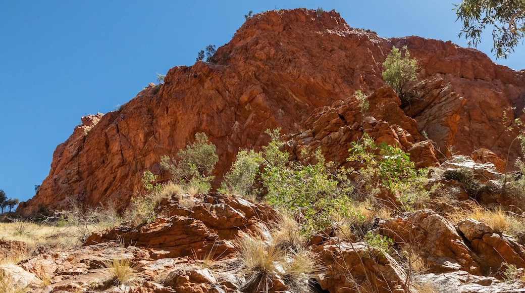 Simpsons Gap showing desert views and a gorge or canyon