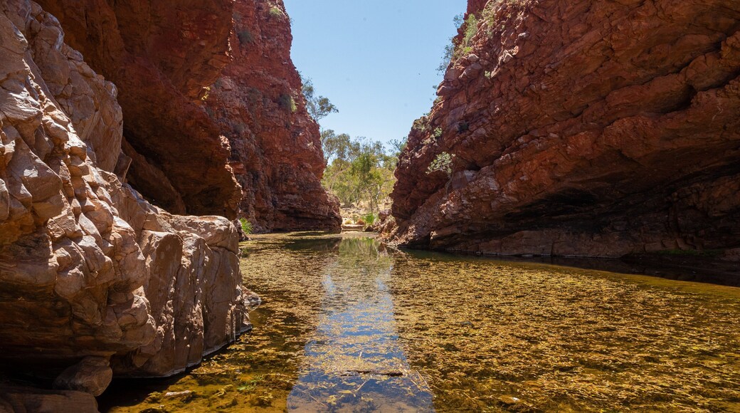 Simpsons Gap featuring a river or creek and a gorge or canyon
