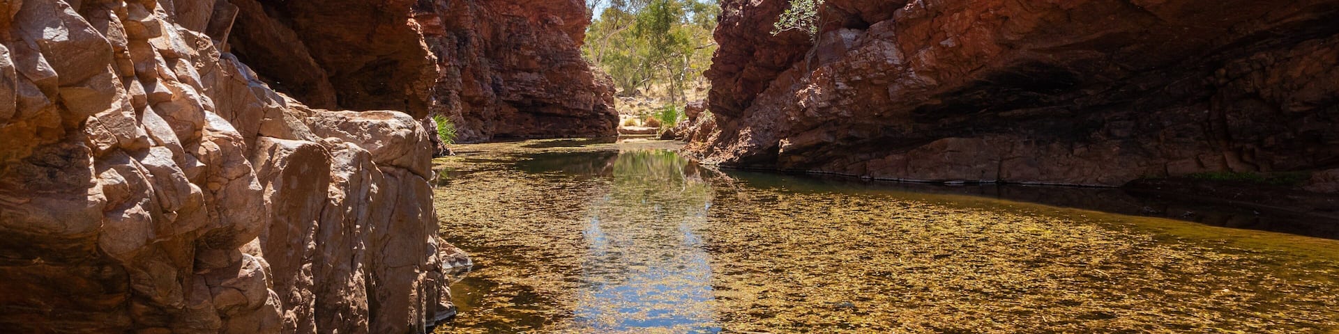Simpsons Gap featuring a river or creek and a gorge or canyon