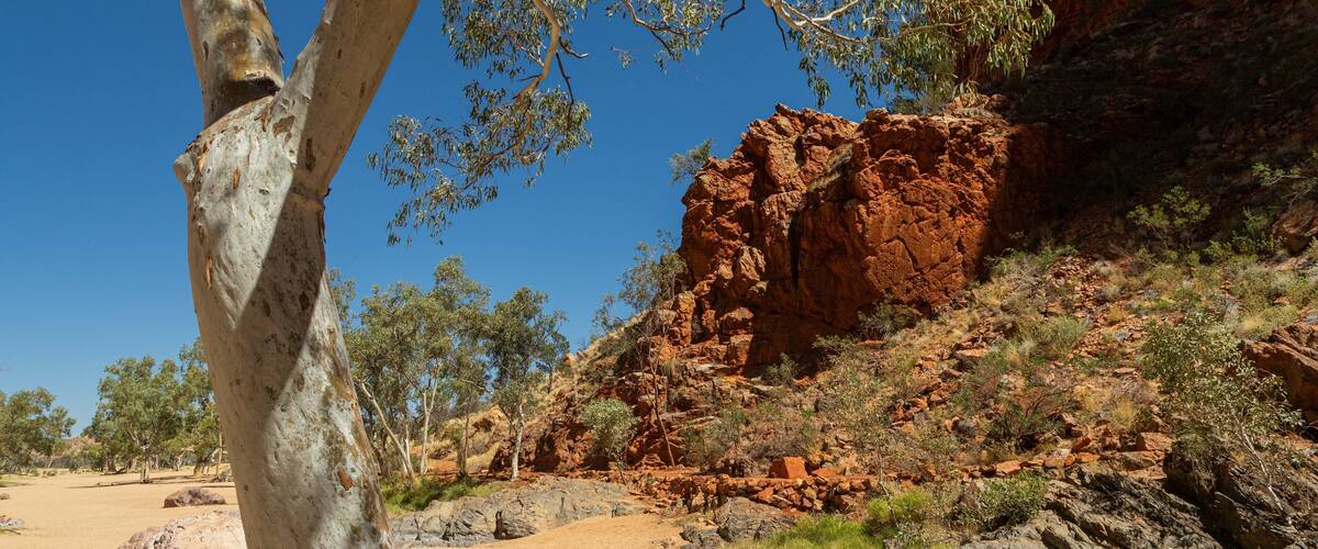 Simpsons Gap showing desert views and a gorge or canyon
