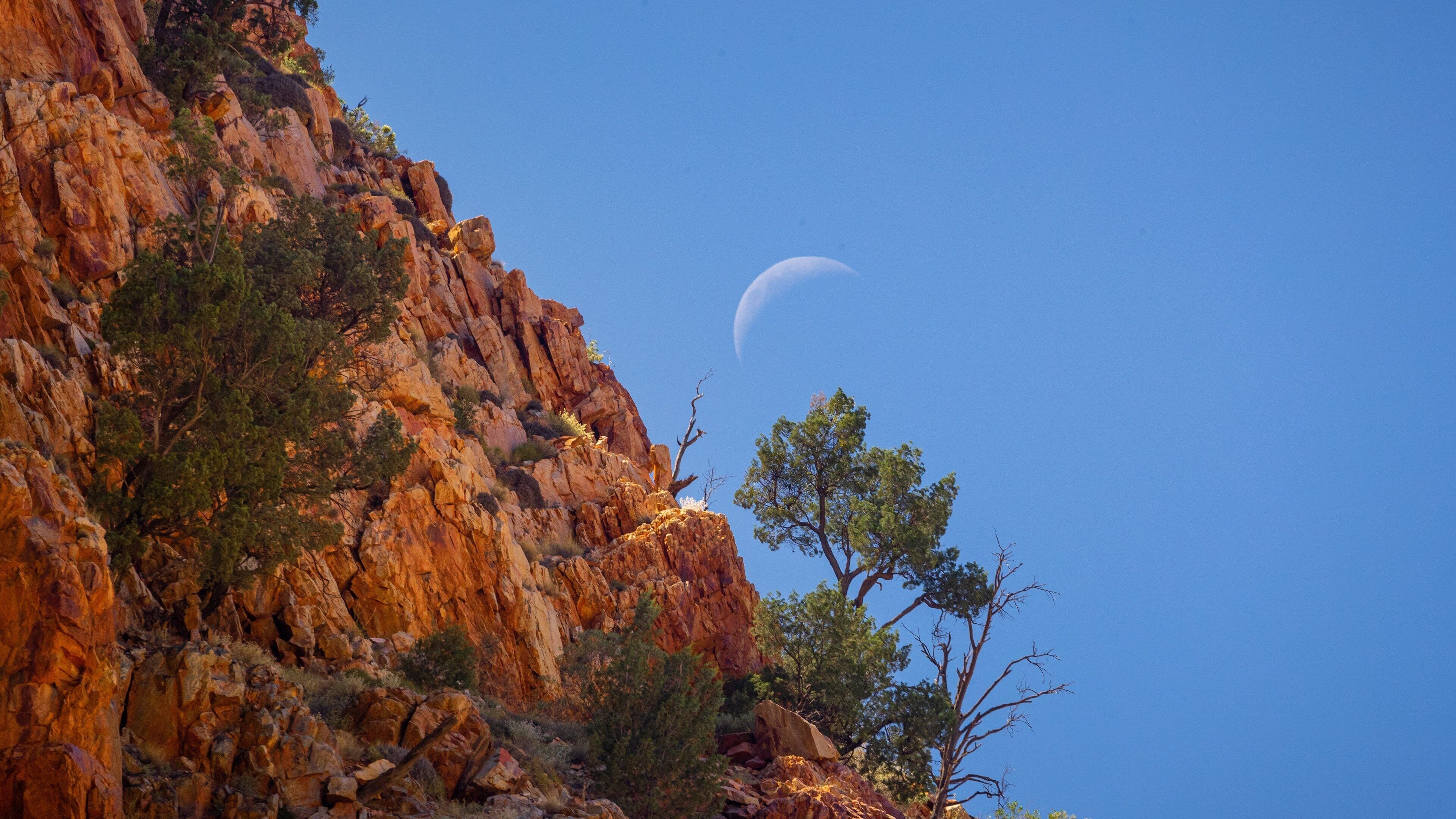 Simpsons Gap which includes a gorge or canyon